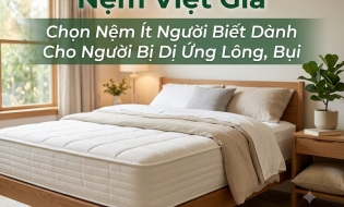 Chọn Nệm Ít Người Biết Dành Cho Người Bị Dị Ứng Lông, Bụi