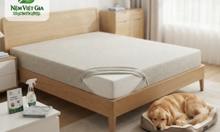 Bí Quyết Vệ Sinh Nệm Sạch Sẽ Khi Nhà Có Thú Cưng Cùng Nệm Việt Gia