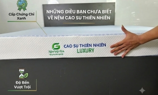 Những Điều Bạn Chưa Biết Về Nệm Cao Su Thiên Nhiên