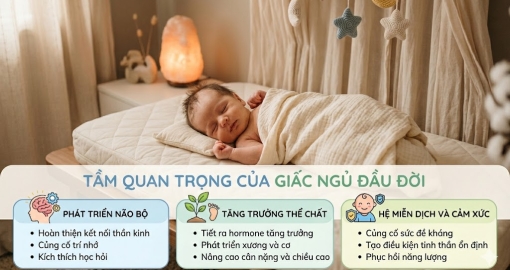Chọn Nệm Tốt Cho Giấc Ngủ Đầu Đời Trẻ Sơ Sinh – Bí Quyết Giúp Bé Ngủ Ngon, Phát Triển Toàn Diện