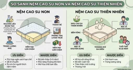So Sánh Nệm Cao Su Non Và Nệm Cao Su Thiên Nhiên – Nên Chọn Loại Nào Tốt Hơn?