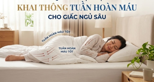 Bí Quyết Chọn Nệm Khai Thông Tuần Hoàn Máu Cho Giấc Ngủ Sâu