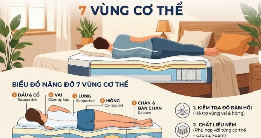 Bí Quyết Chọn Nệm Nâng Đỡ 7 Vùng Cơ Thể