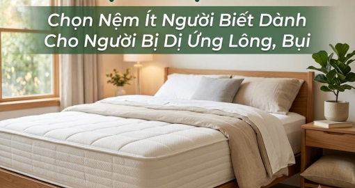 Chọn Nệm Ít Người Biết Dành Cho Người Bị Dị Ứng Lông, Bụi