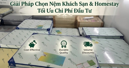 Giải Pháp Chọn Nệm Khách Sạn & Homestay Tối Ưu Chi Phí Đầu Tư