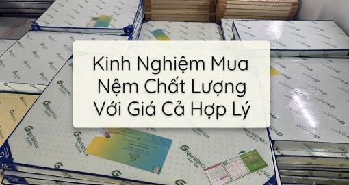 Kinh Nghiệm Mua Nệm Chất Lượng Giá Cả Hợp Lý