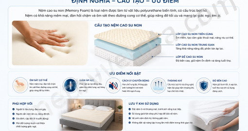 Nệm cao su non là gì? Vì sao nệm cao su non là lựa chọn hàng đầu của mọi gia đình Việt?