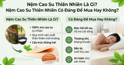 Nệm cao su thiên nhiên là gì? Nệm cao su thiên nhiên có đáng để mua hay không?