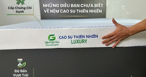 Những Điều Bạn Chưa Biết Về Nệm Cao Su Thiên Nhiên