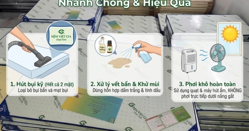 Cách Vệ Sinh Nệm Mùa Mưa Nhanh Chóng & Hiệu Quả Không Hôi Mốc