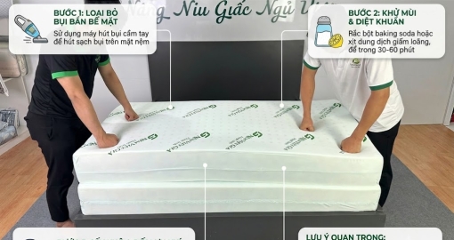 Hướng Dẫn Vệ Sinh Nệm Cao Su Tại Nhà Đơn Giản & Đúng Cách